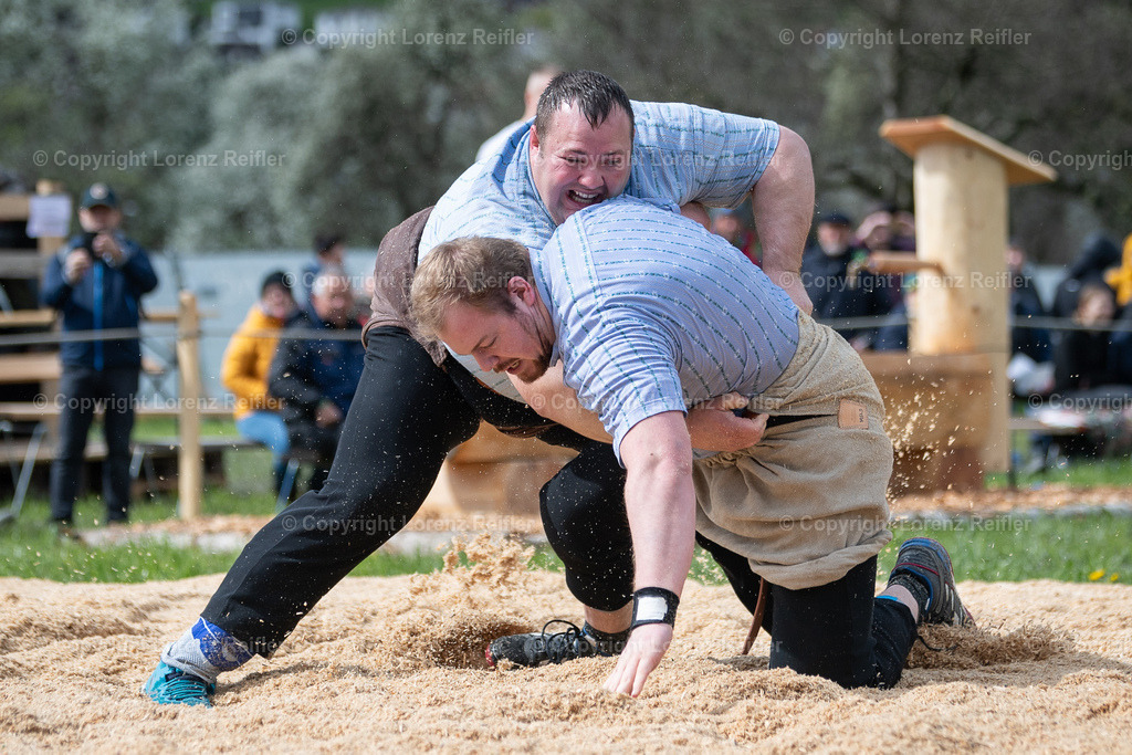 Schwingen -  Rheintal-Oberländer 2024 | Trübbach, 24.3.24, Schwingen - Rheintal-Oberländer.