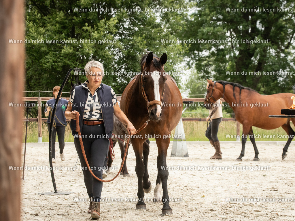 598A6314 | photographylinaismer - Realisiert mit Pictrs.com