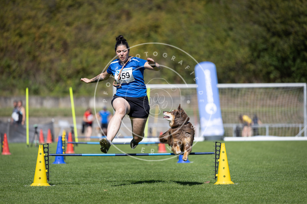 Pfotenfotografie_DV3A7355 | Hundefotografie, Tierfotograf, Pfotenfotografie, Fotoshooting Hund, Hunde Portrait, Hundesport, Hundeportraits, Heideshooting, Hunde, Sportfotograf, Hundefotograf, Turnierhundsport, THS,  - Realisiert mit Pictrs.com
