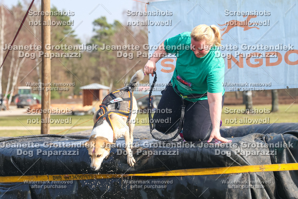 Dog Paparazzi - Strongdog North Mrz26-2161 | Dog Paparazzi Jeanette Grottendiek Fotografie & Videografie - Realisiert mit Pictrs.com