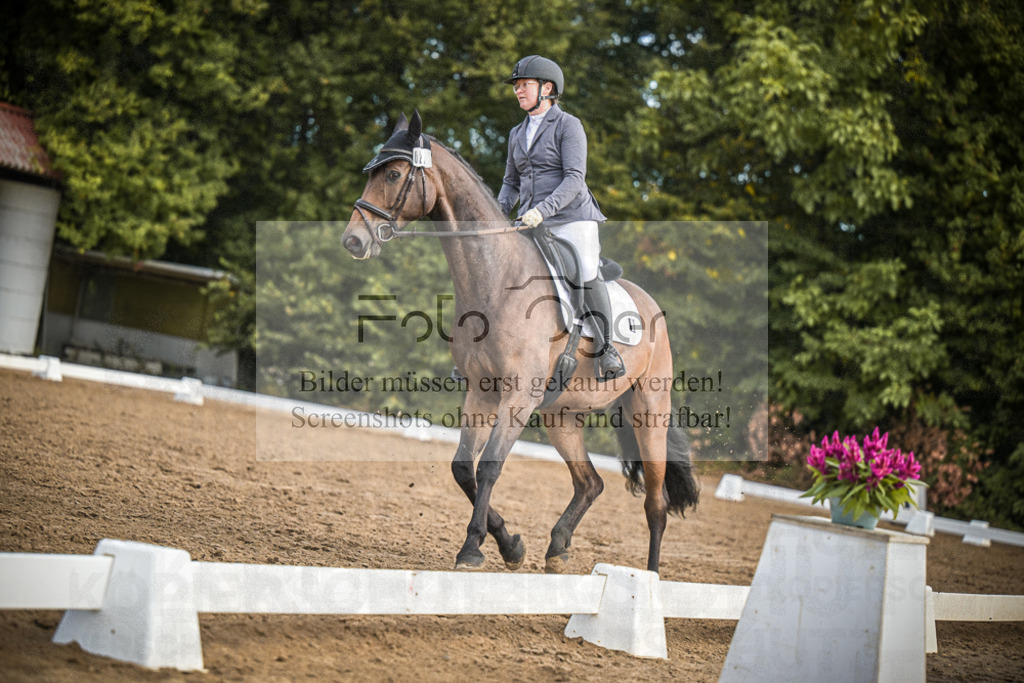 DOS_1220 | Entdecke hochwertige Reitturnierfotos von Foto Oger. Professionell, emotional und authentisch – jetzt Lieblingsmomente im Shop bestellen.Deutschlandweite Turnierfotografie. - Realisiert mit Pictrs.com