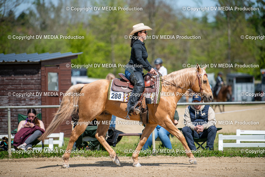 Heiligenwald Tag 3-1353 | dv-media-shop - Realisiert mit Pictrs.com