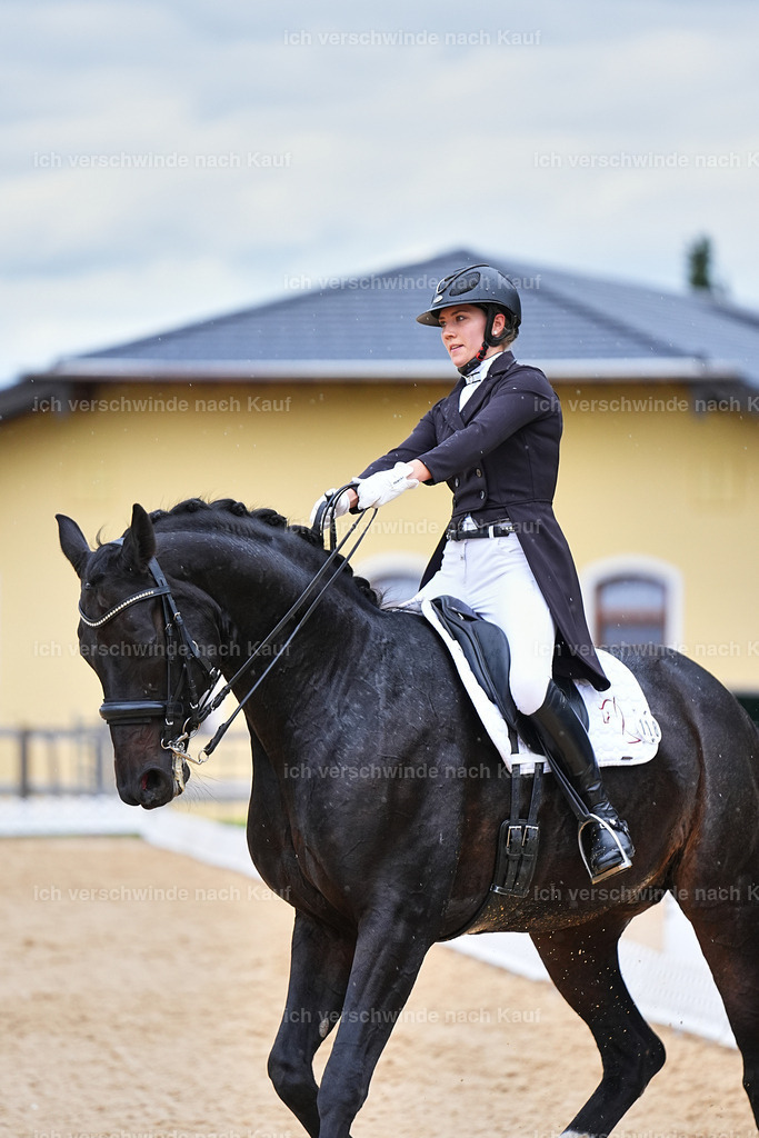 8_1-118-Klasse S_  -Marixx-4235 | working equitationturnier fotograf videograf stoibphotography marixx film working equitation deutschland reitsport turnierfotografie eventfotografie equestrian events