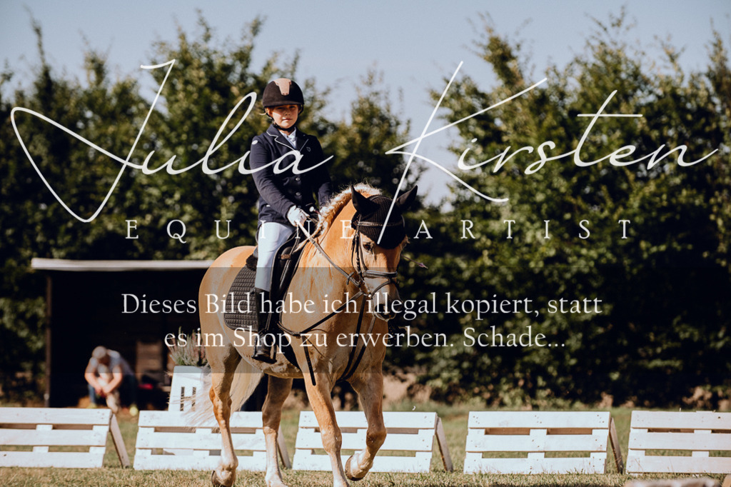 DSC_6962 | Pferde- und Turnierfotografie in Westsachsen. Pferdeportraits, Auftragszeichnungen und intuitive Kunst.