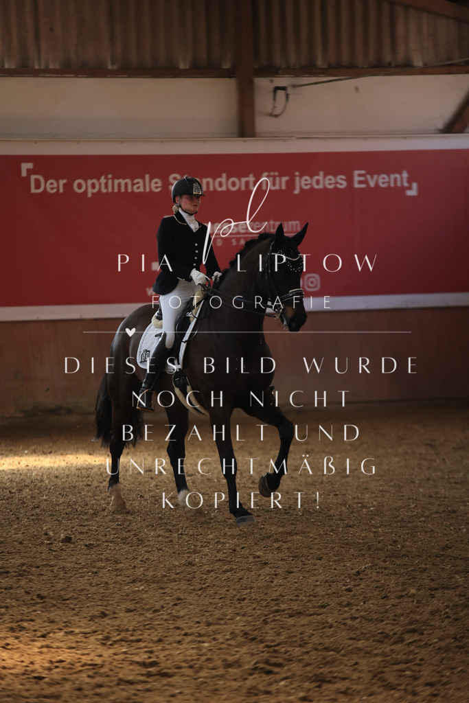 IMGT3830 | pl-fotografie