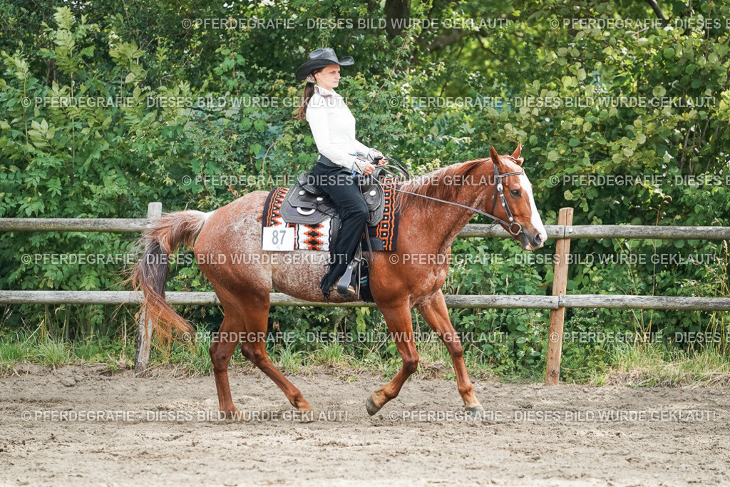 DSC04395 | Pferdegrafie