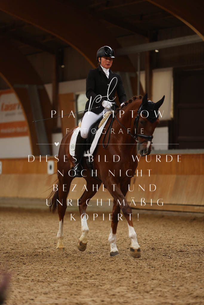 IMGM6031 | pl-fotografie