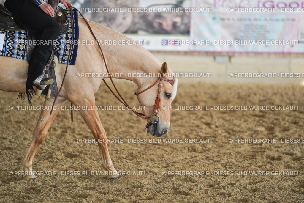 DSC09372 | Pferdegrafie