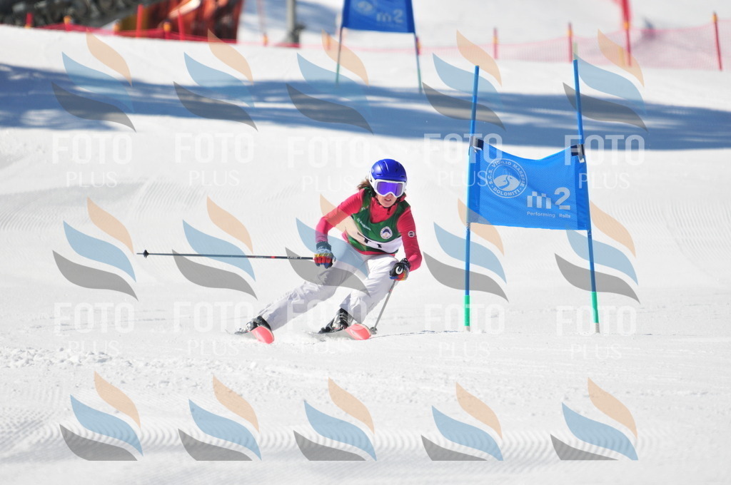 C4173 | holidayphoto