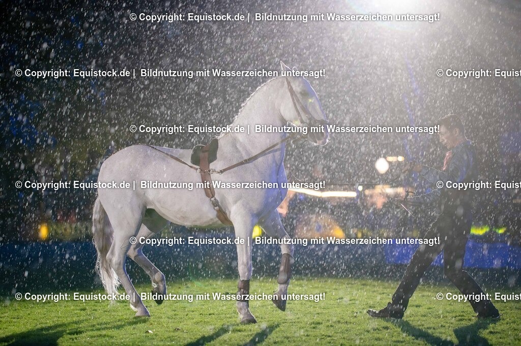 20250606_Lange-Pferdenacht_1154 | Foto: Thomas Hartig