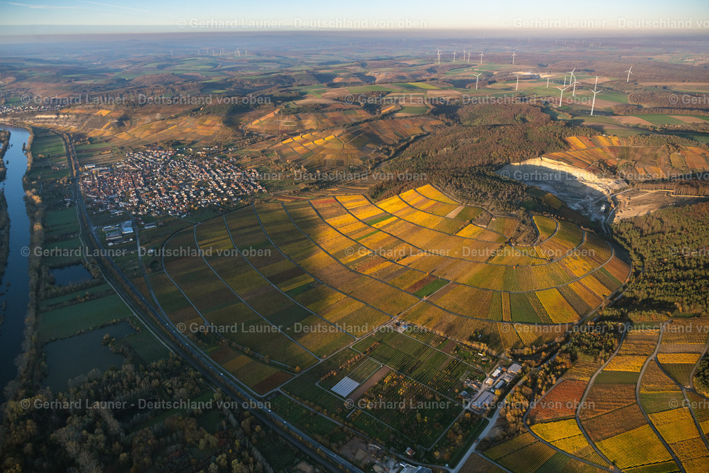 4042923 | Weinberg bei Thüngersheim, Weinlage Scharlachberg, Johannisberg, Benediktusberg, Sommerstuhl