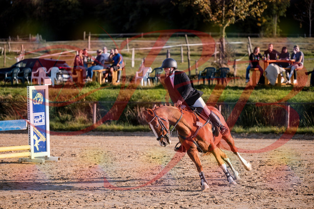 2026_10_03_Siefer-Hof_171723_Z81_15199143 | Professionelle Reitsport-, Turnier- und Eventfotografie von Robert Broda. Galerien mit ausgewählten und bearbeiteten Bildern direkt online ansehen und bestellen.