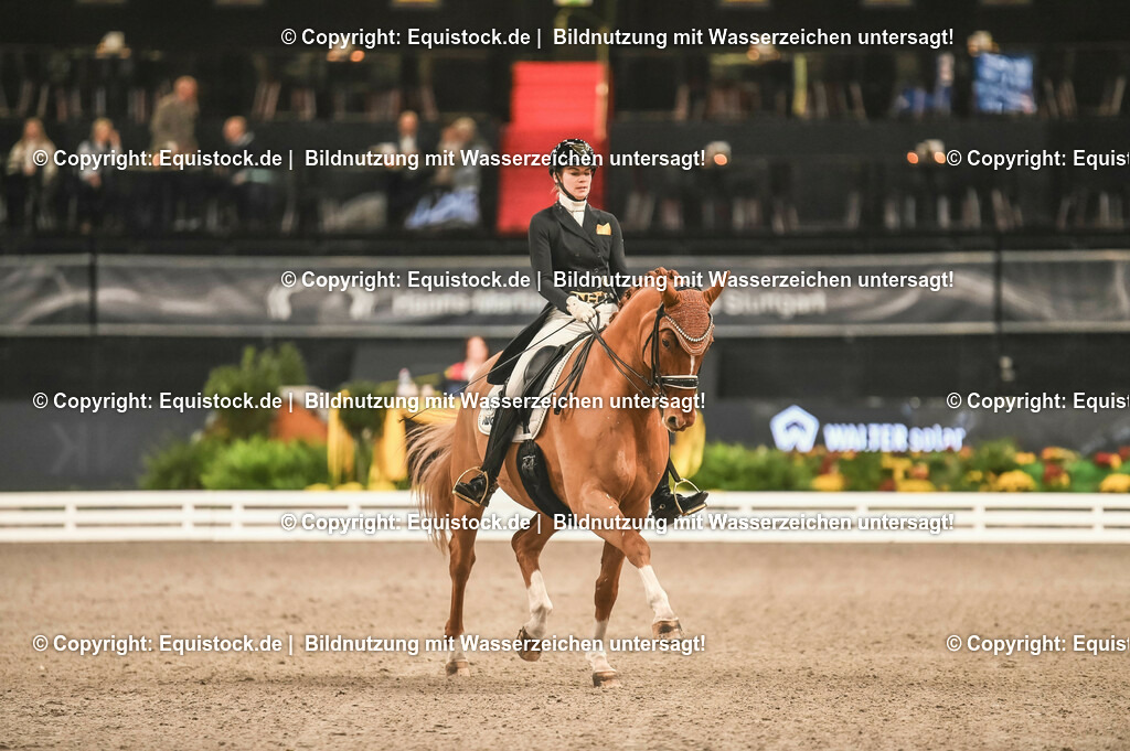 20231115_20_Dressur_Kl-S++_0204_TOMsPiC | Foto: Thomas Hartig