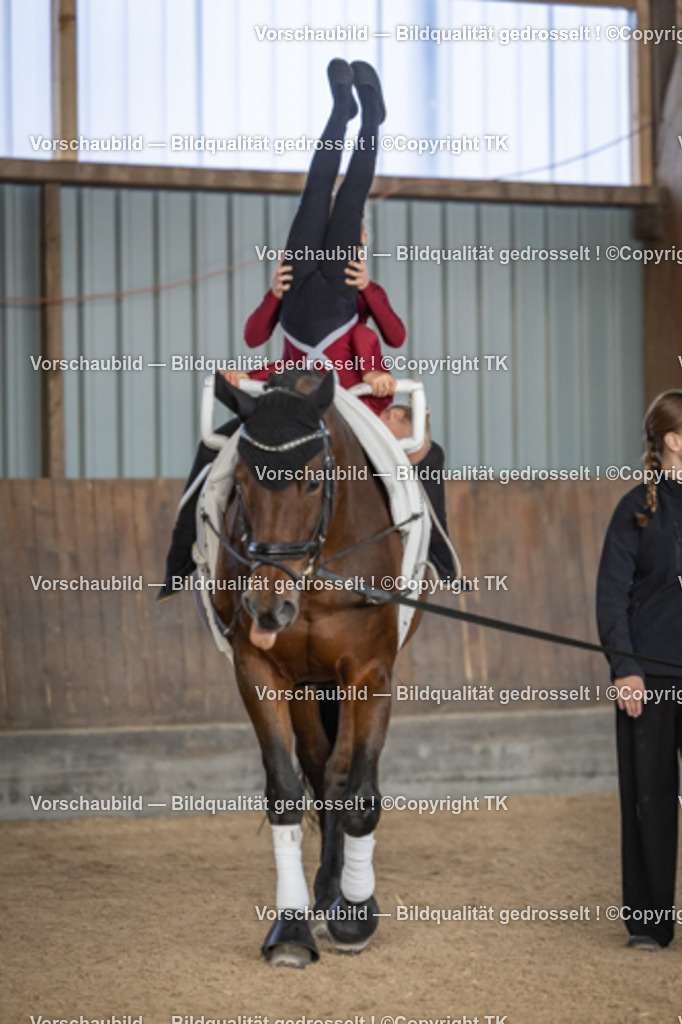 _D5A6715 | Emotionale Pferde- & People-Fotografie rund um Heidelberg, Leimen & Umgebung. Natürliche Fotos von Pferd, Mensch & Familie. Jetzt Termin sichern!