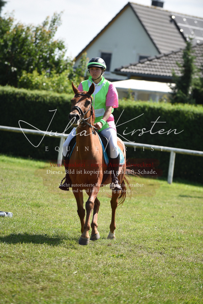 DSC_0415 | Pferde- und Turnierfotografie in Westsachsen. Pferdeportraits, Auftragszeichnungen und intuitive Kunst.