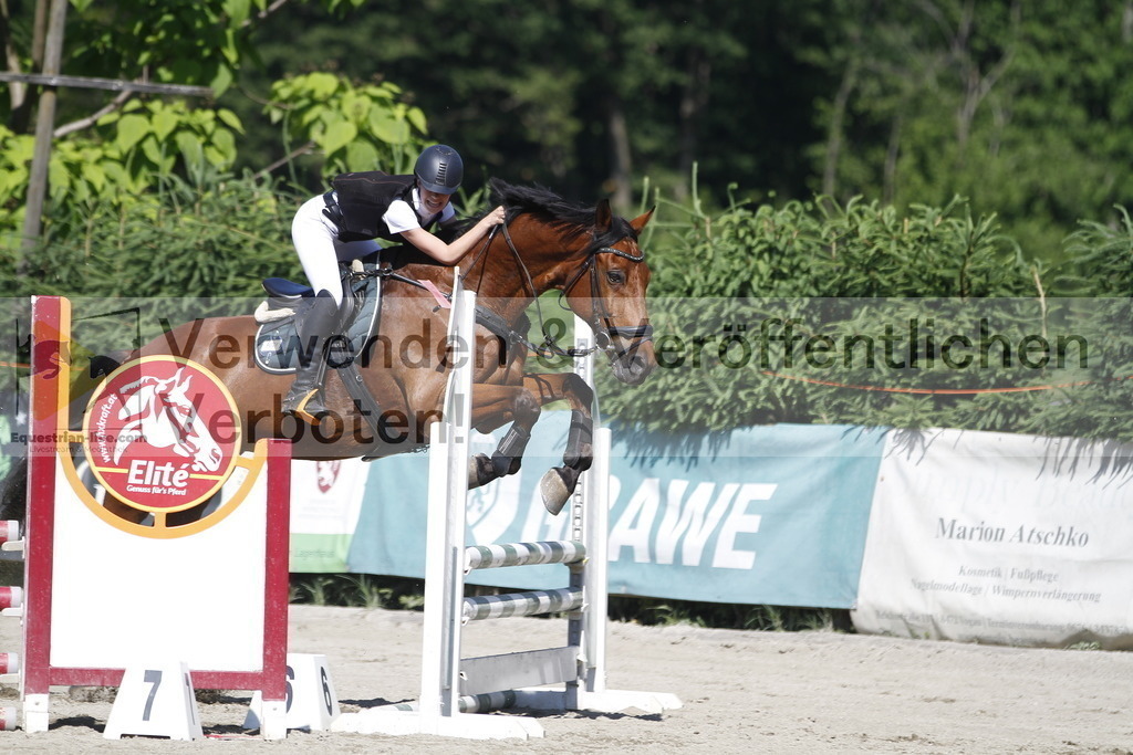 _MG_2629 | equestrian-live-com