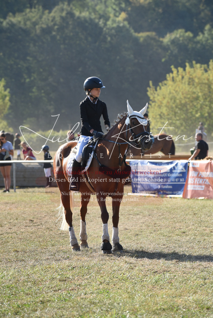 DSC_5821 | Pferde- und Turnierfotografie in Westsachsen. Pferdeportraits, Auftragszeichnungen und intuitive Kunst.