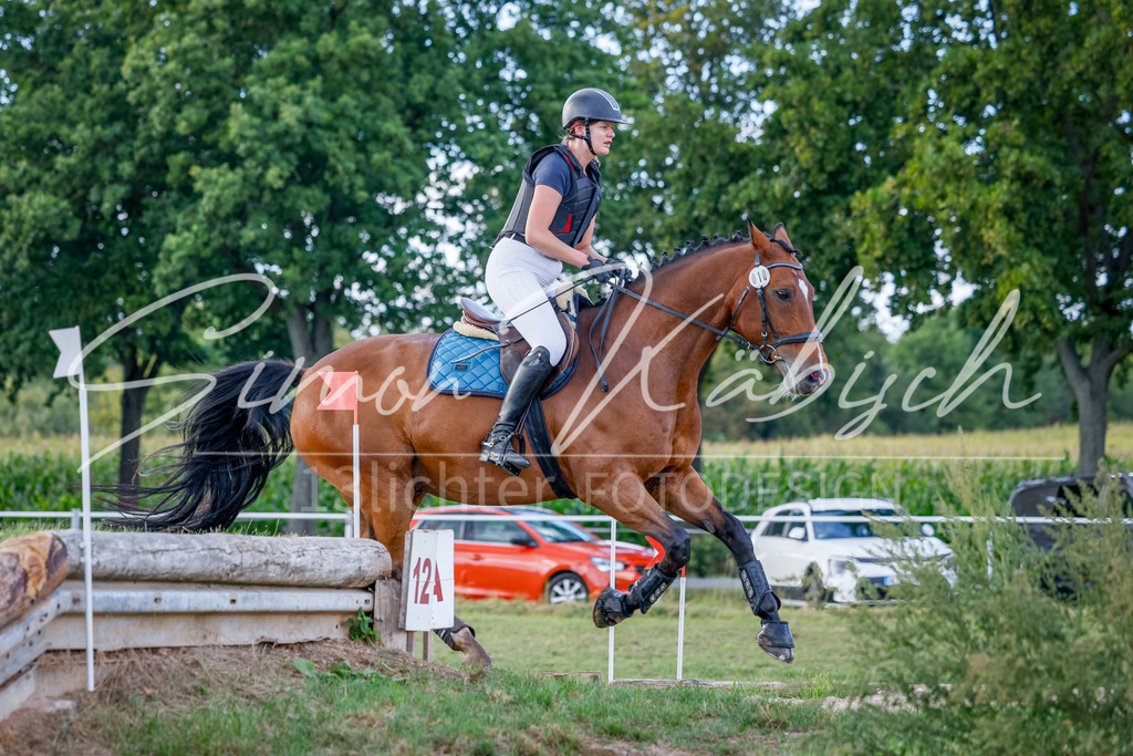 20250905-_3LI2130 | Tierfotografie Pferde, Hunde, Katzen, Haustiere.
Turnierfotografie Reitturniere, Reiten, Springreiten, Dressur in Hanau, dem Main-Kinzig-Kreis und dem Rhein-Main- Gebiet um Frankfurt