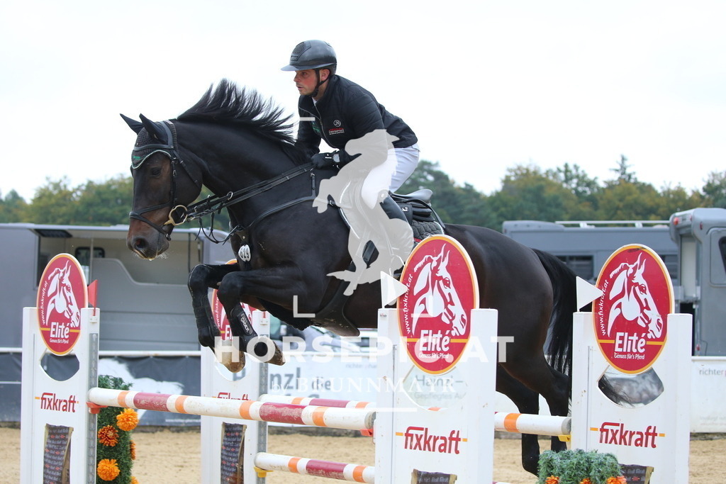 DL2Q1632 | Willkommen bei Brunnmayr - Design & Fotografie – Ihrem Spezialisten für Reitturniere und Pferdeveranstaltungen in Oberösterreich, Salzburg und Bayern! Seit über 17 Jahren sind wir leidenschaftlich dabei.