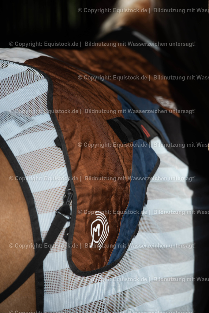 20200928_Bemer_Decke_0004 | equistock