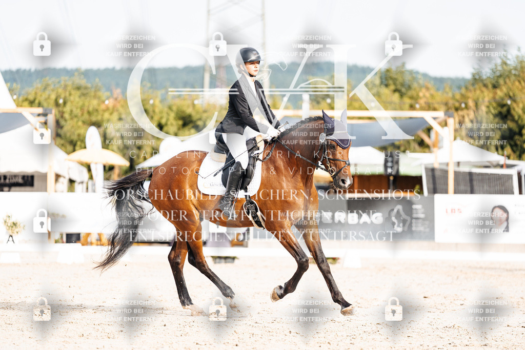 CK904068 | Turnierfotografie Pferdefotografie Trier Rheinland-Pfalz Pferdesport Reitsport Tierfotografie Sportfotografie Pferdevideo Pferdevideografie Equestrianvideography equestrianphotography  - Realisiert mit Pictrs.com