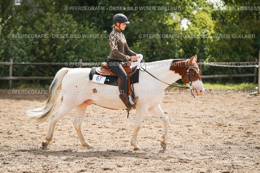 DSC05129 | Pferdegrafie