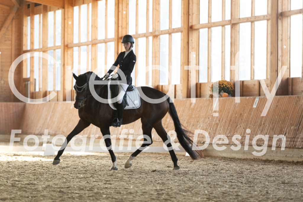 IMG_4016 | Creatify Fotografie