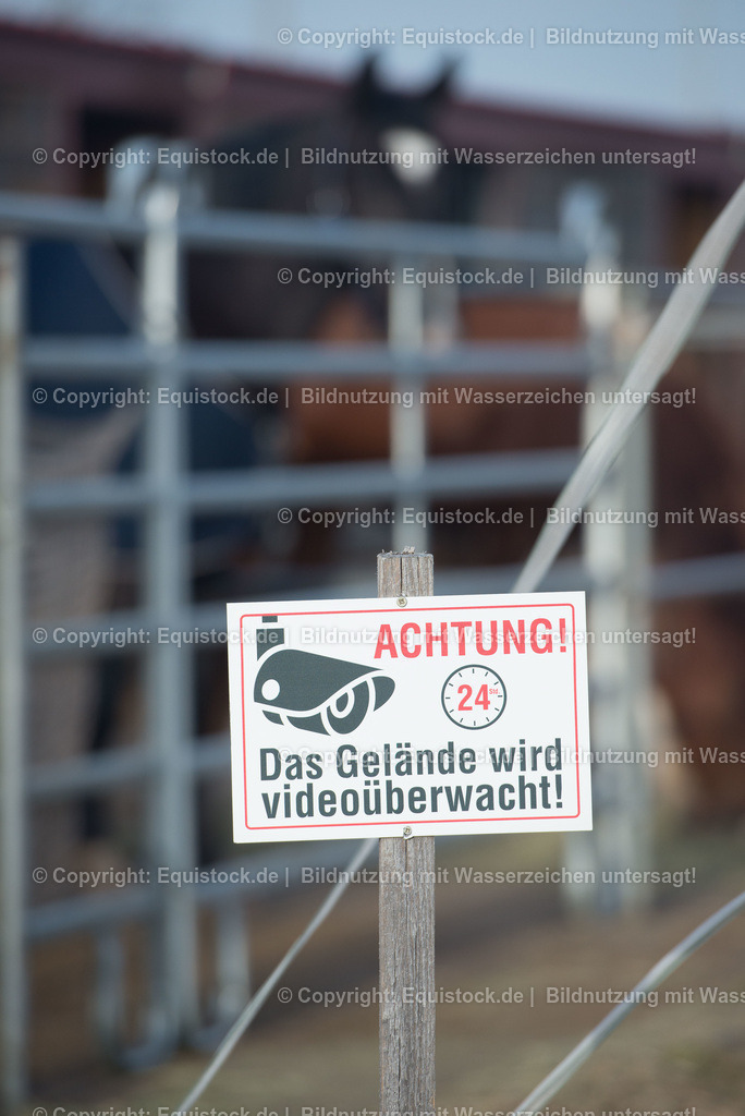 TS_20180305_Achtung_Video_0004 | Foto: Thomas Hartig