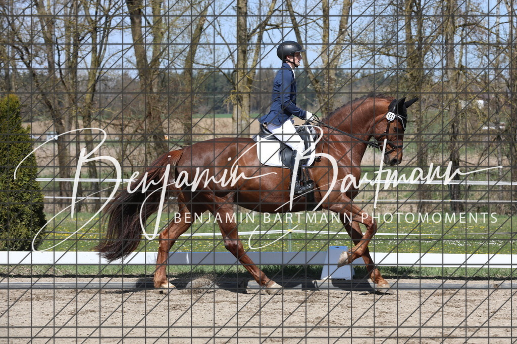 AZ2A5068 | Benjamin Bartmann Photomoments