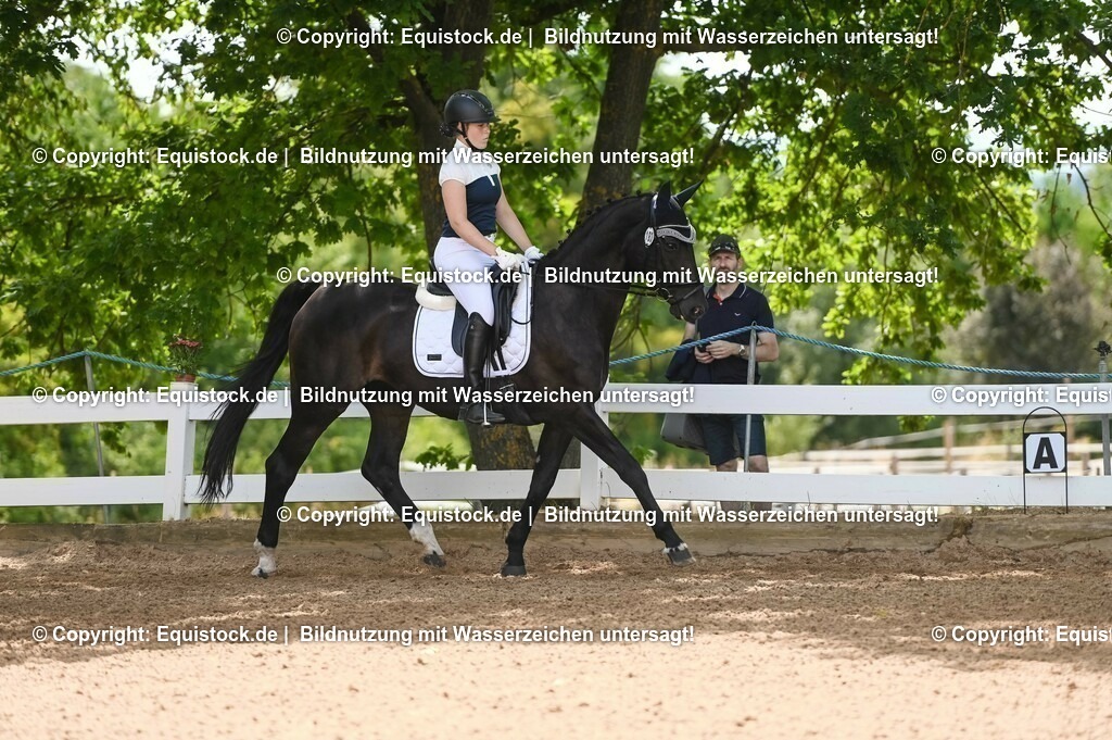20230715_09_Dressur-WB_0213 | equistock