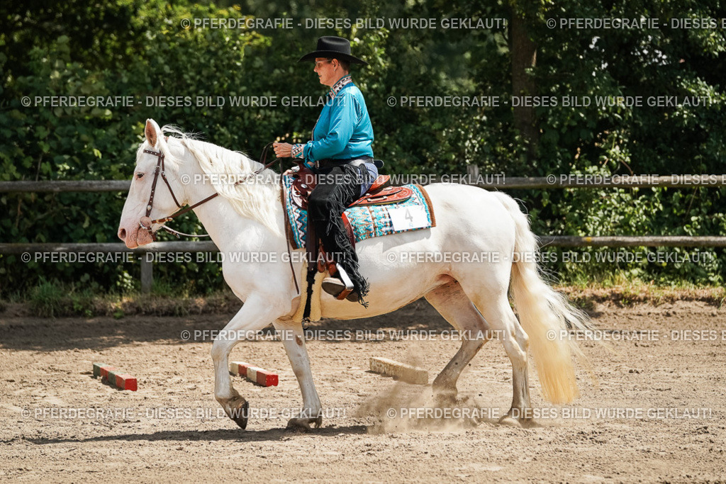 DSC07329 | Pferdegrafie