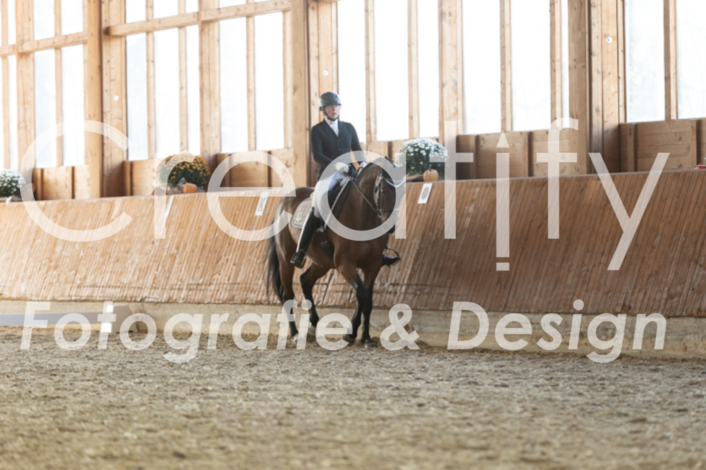 IMG_3614 | Creatify Fotografie