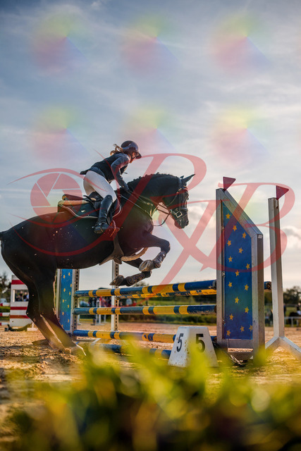 2026_10_03_Siefer-Hof_171508_Z63_21704425 | Professionelle Reitsport-, Turnier- und Eventfotografie von Robert Broda. Galerien mit ausgewählten und bearbeiteten Bildern direkt online ansehen und bestellen.