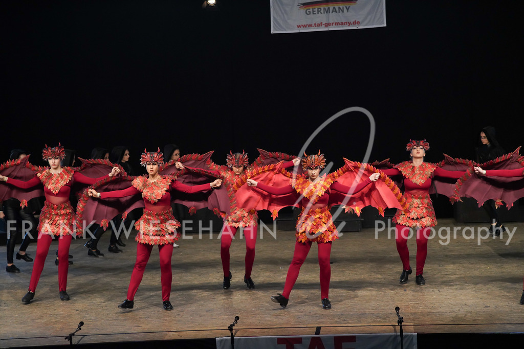 steppdm22_3209 | FRANK WIESEHAHN MEDIA - Realisiert mit Pictrs.com