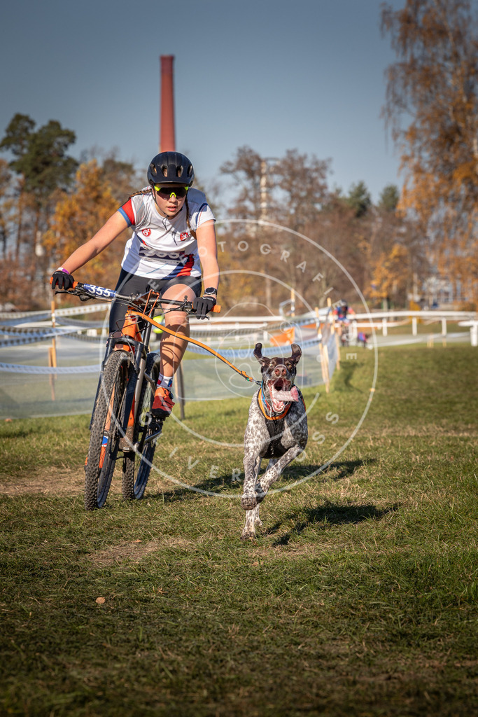 CaniXpix_0L8A6111 | Hundefotografie, Tierfotograf, Pfotenfotografie, Fotoshooting Hund, Hunde Portrait, Hundesport, Hundeportraits, Heideshooting, Hunde, Sportfotograf, Hundefotograf, Turnierhundsport, THS,  - Realisiert mit Pictrs.com