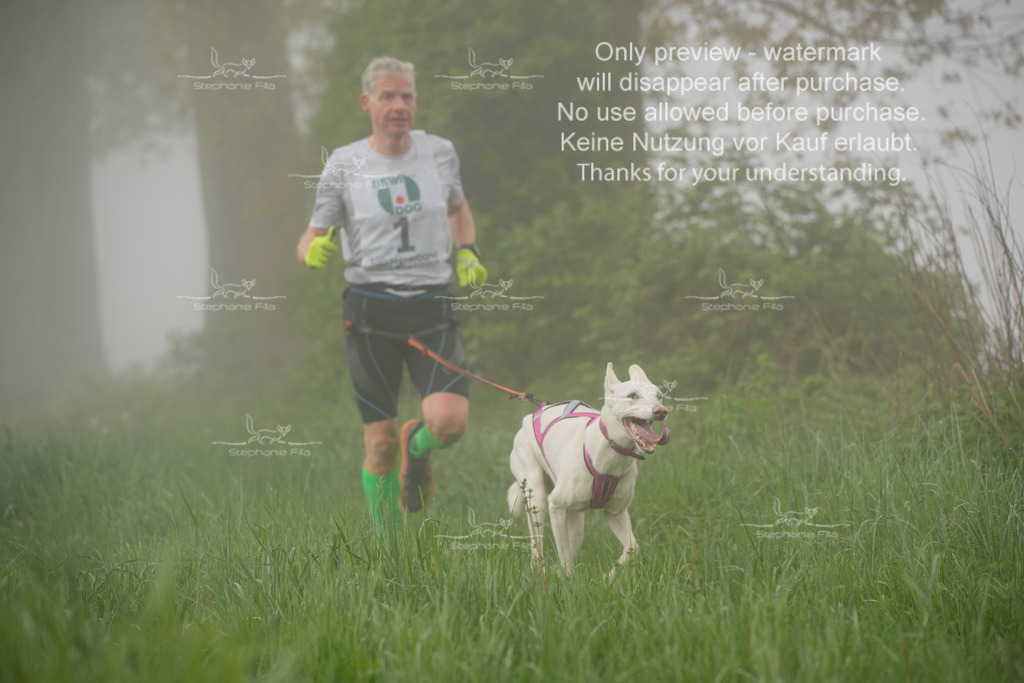 SA_GL2-6 | stephaniefillaphotographie - Realisiert mit Pictrs.com