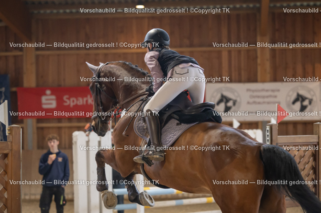 _D5A9706 | Emotionale Pferde- & People-Fotografie rund um Heidelberg, Leimen & Umgebung. Natürliche Fotos von Pferd, Mensch & Familie. Jetzt Termin sichern!