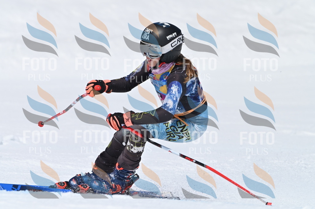 BGV_0110 | holidayphoto