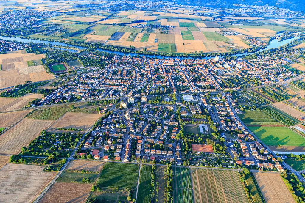 Luftbild: Ortsansicht von Westen diesseits des Neckars im Ortsteil Edingen in Edingen-Neckarhausen im Bundesland Baden-Württemberg in Deutschland. Foto: IMG_109361.jpg vom 30.07.2018 durch Werner Riehm/FLY-FOTO.de