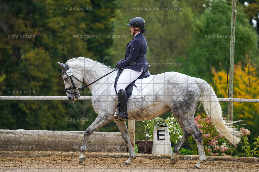 20221008-FAH01031 | Diessen am Ammersee, 2022, Dressur- und Springturnier, Reitsportbilder, Turnierfotografen Bayern, Pferdefotografen, Fotoagentur Herrmann, Turnierbilder