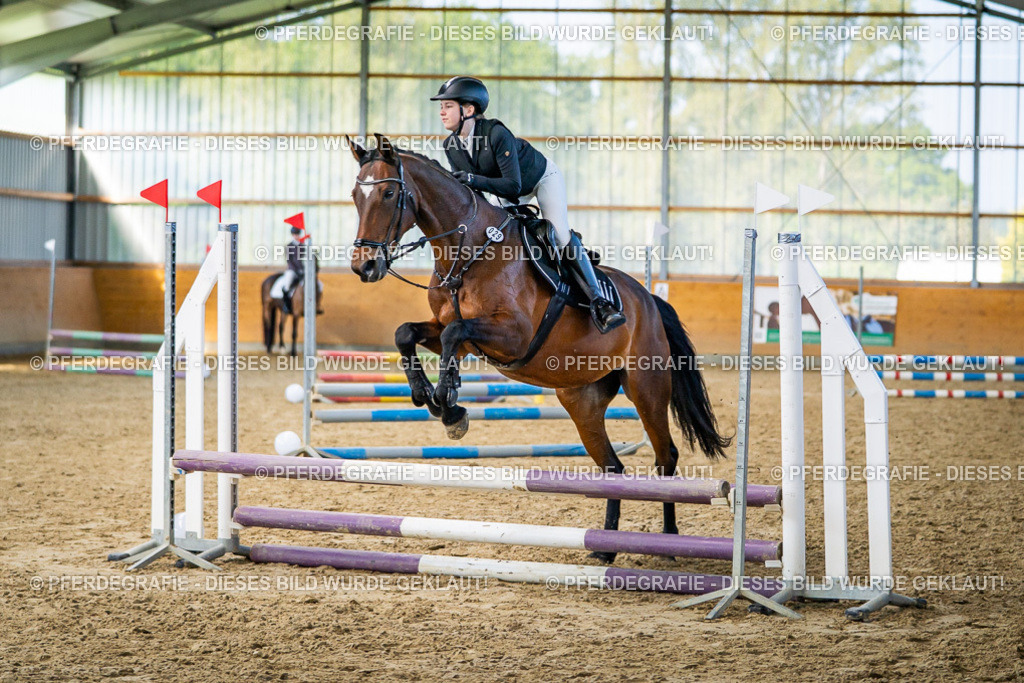 DSC01141 | Pferdegrafie