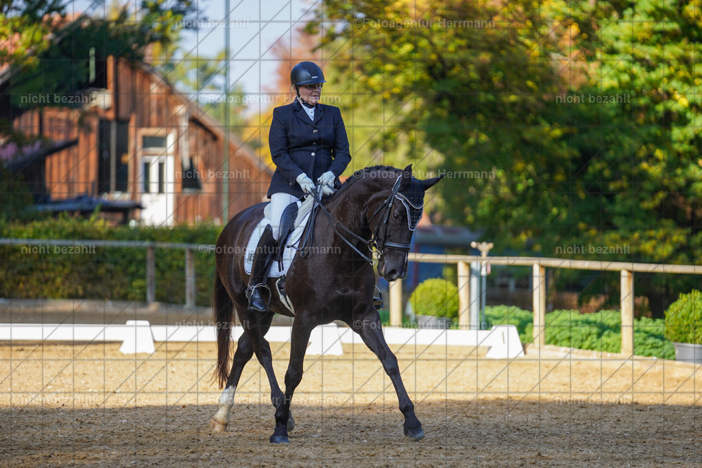 20221007-FAH00195 | Diessen am Ammersee, 2022, Dressur- und Springturnier, Reitsportbilder, Turnierfotografen Bayern, Pferdefotografen, Fotoagentur Herrmann, Turnierbilder