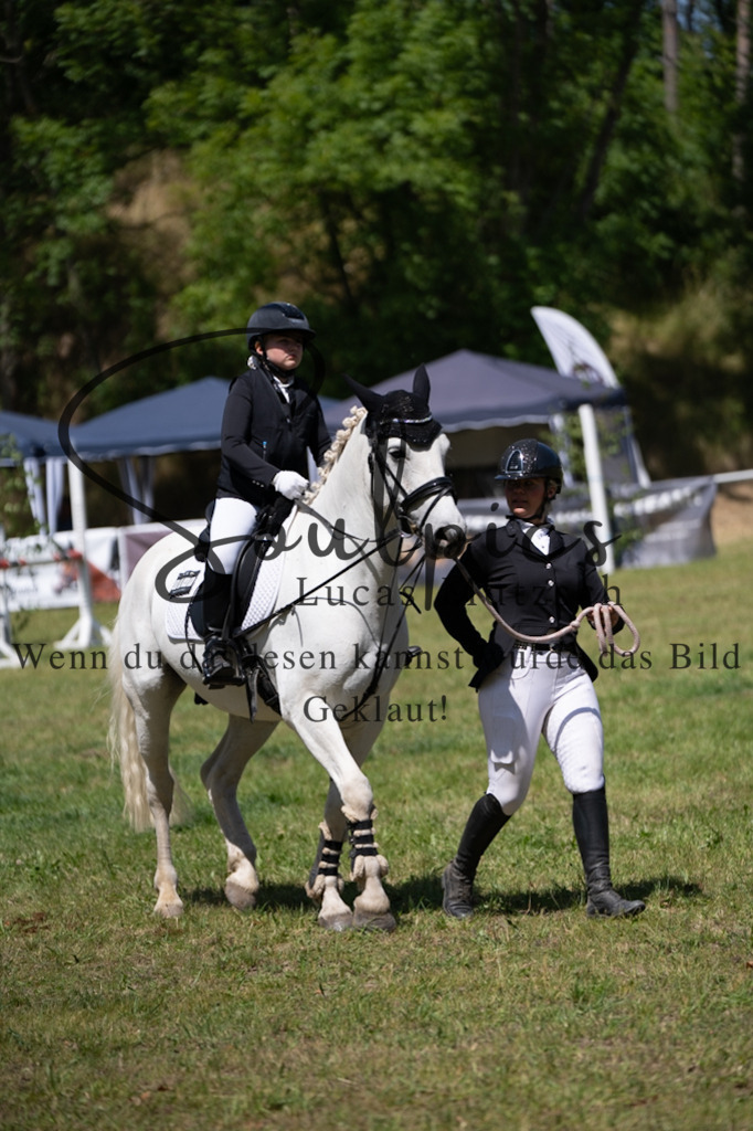 A7V06272 | Pferdefotograf