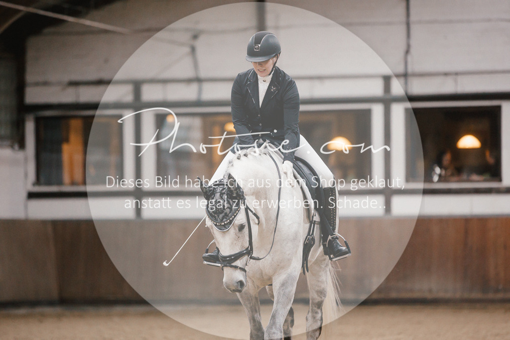 3I6A6130 | Stimmungsvolle Portraits und Reitsportfotografie im Ruhrgebiet und im Münsterland.

Pferdefotografie, Hundefotografie, Tierfotografie, Reportagen, Portraits von Tier und Mensch, Turnierfotografie in Bochum, Recklinghausen, Marl, Haltern am See, Dülmen.. - Realisiert mit Pictrs.com