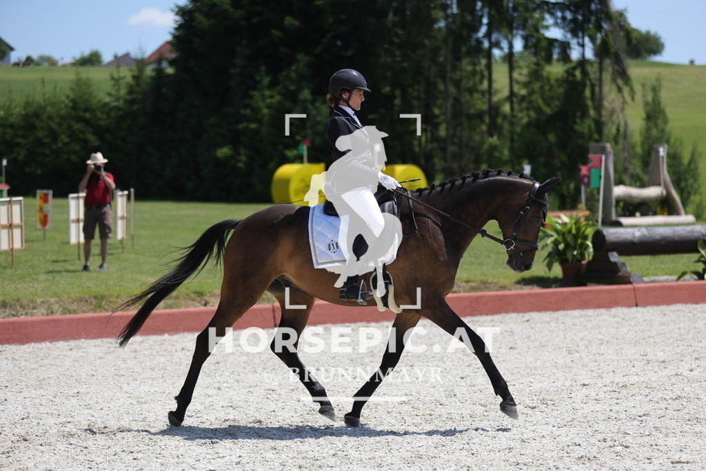 0P6A1408 | Willkommen bei Brunnmayr - Design & Fotografie – Ihrem Spezialisten für Reitturniere und Pferdeveranstaltungen in Oberösterreich, Salzburg und Bayern! Seit über 17 Jahren sind wir leidenschaftlich dabei.