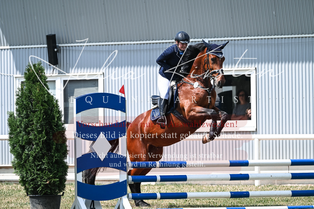 DSC_9339 | Pferde- und Turnierfotografie in Westsachsen. Pferdeportraits, Auftragszeichnungen und intuitive Kunst.