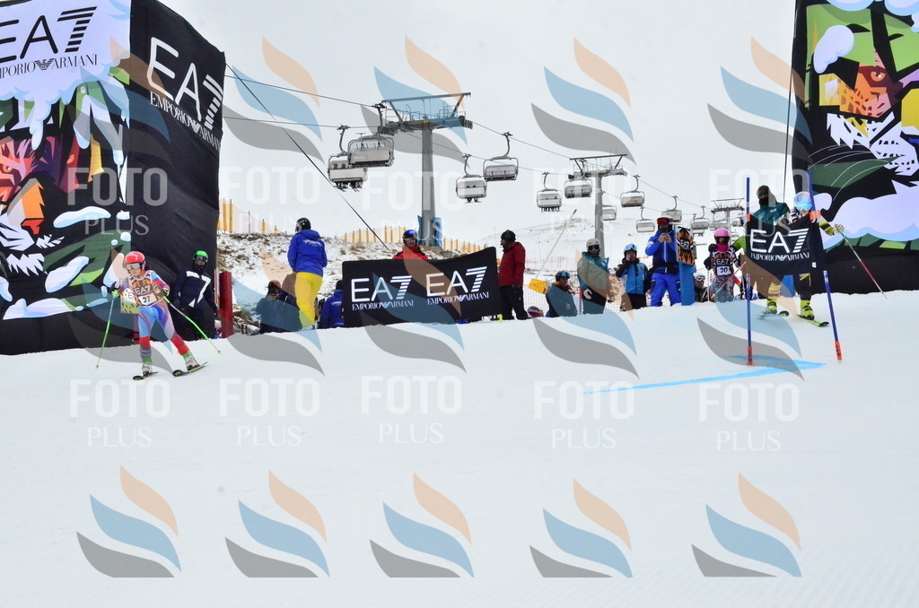 _ELE3261 | holidayphoto