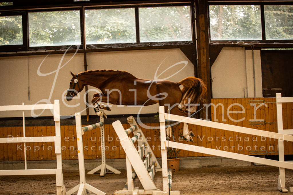 2FS_L00101 | Leoni Ertmer Photography - Realisiert mit Pictrs.com