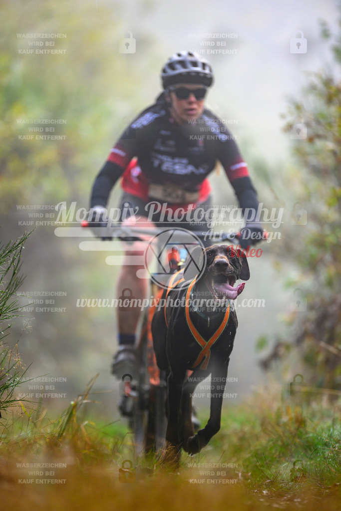 MompixPhotography_20TSB_E4_Bike-41 | PayLife
