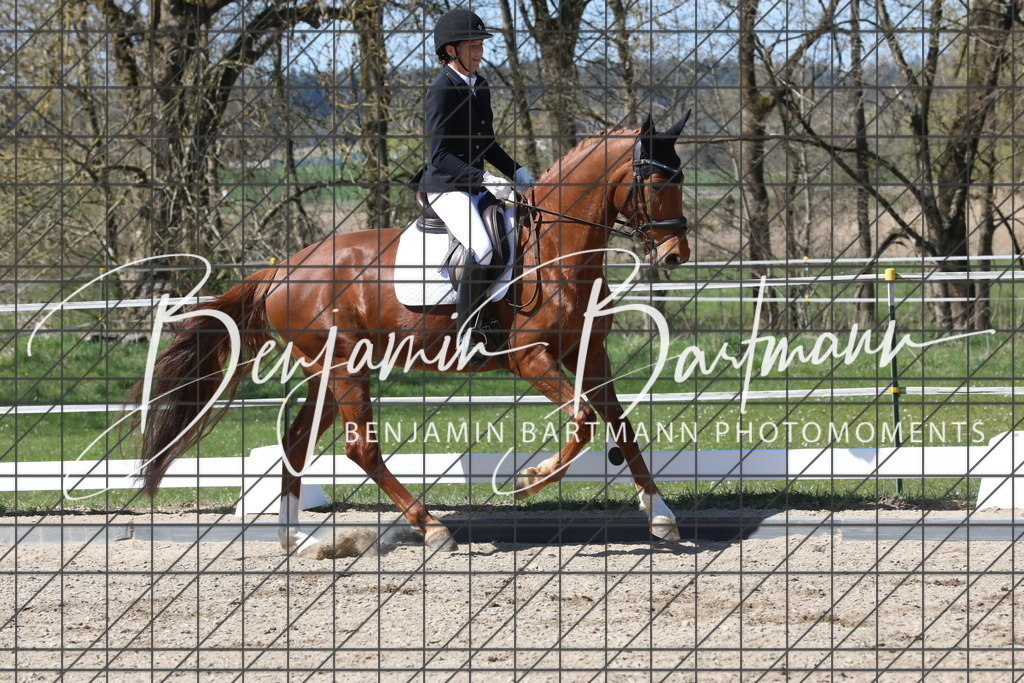 AZ2A4490 | Benjamin Bartmann Photomoments